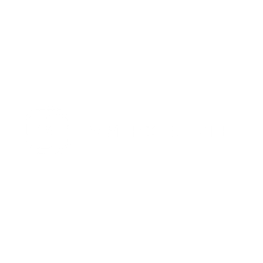 Prime Focus logo